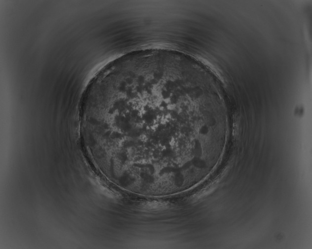 X0000091651117200708301413
