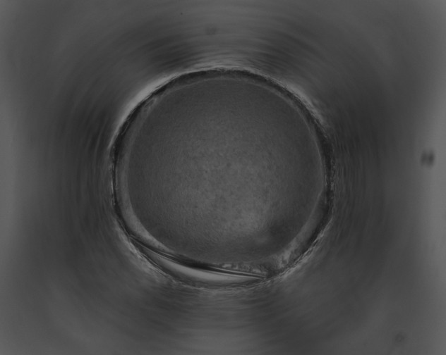 X0000091651118200708301413