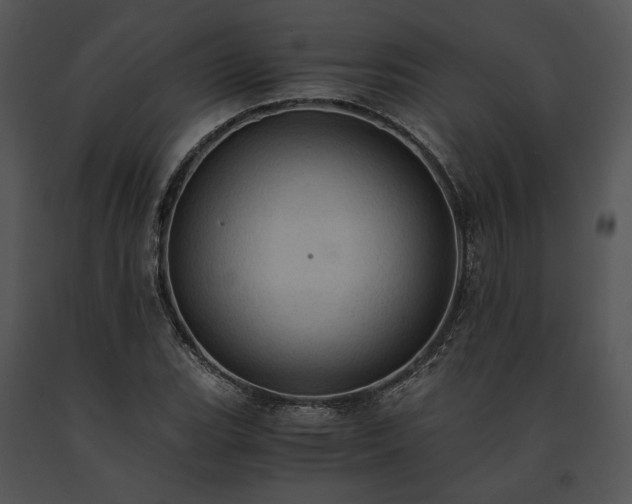 X0000091651119200708301413