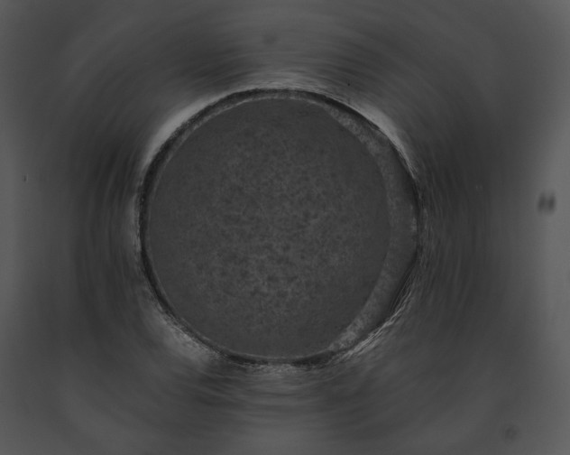 X0000091651120200708301413