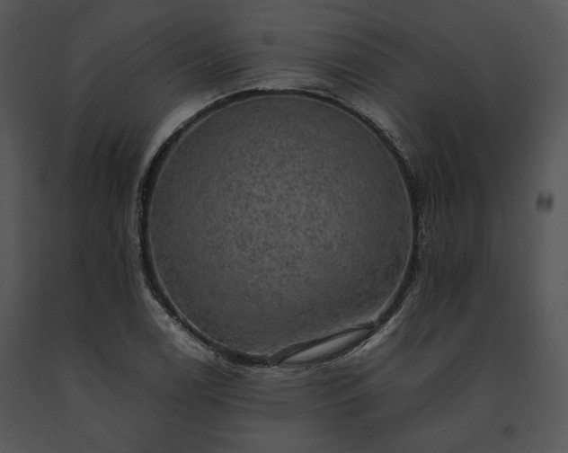 X0000091651122200708301413