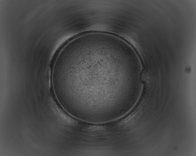 X0000091651123200708301413