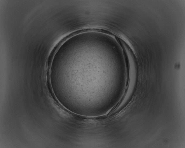 X0000091651124200708301413