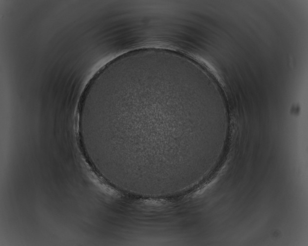 X0000091651125200708301413