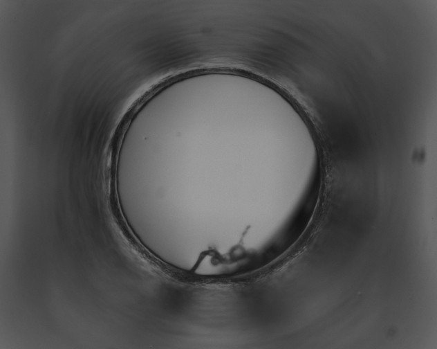 X0000091651126200708301413