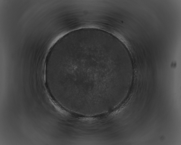 X0000091651127200708301413