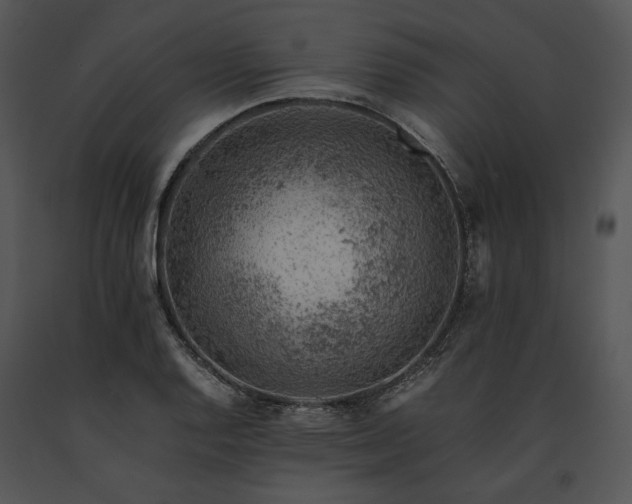 X0000091651128200708301413