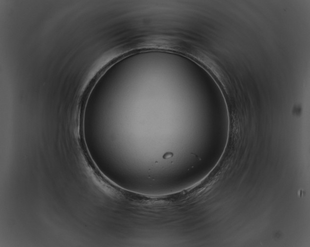 X0000091651131200708301413