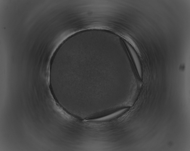 X0000091651132200708301413