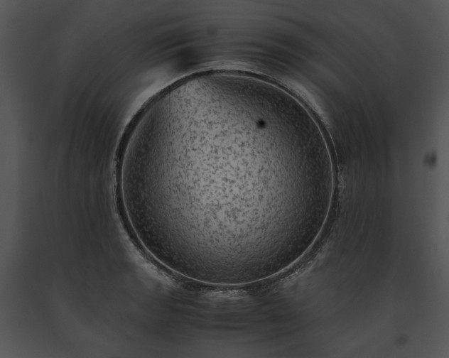 X0000091651133200708301413