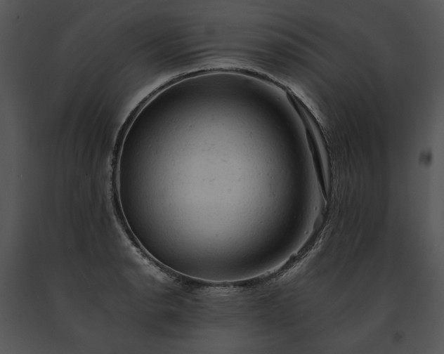 X0000091651134200708301413