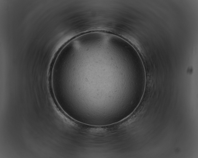 X0000091651135200708301413