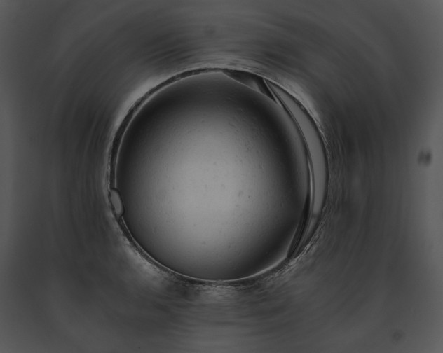 X0000091651136200708301413