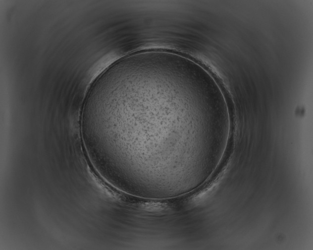 X0000091651137200708301413