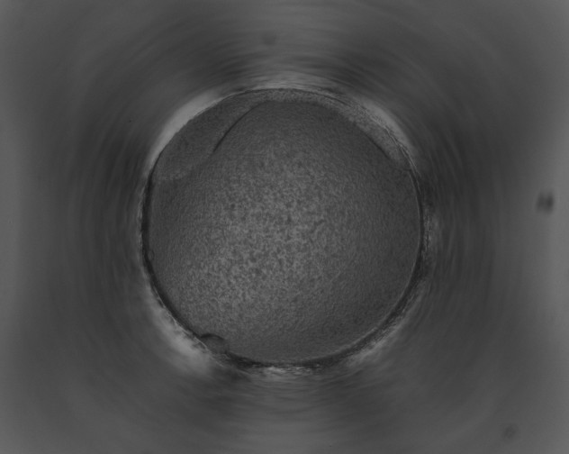 X0000091651138200708301413