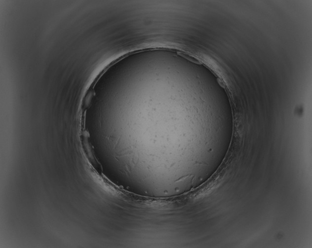 X0000091651140200708301413