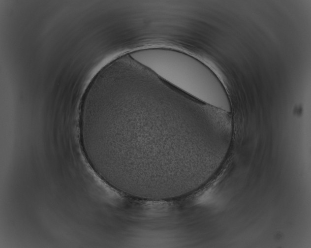 X0000091651142200708301413