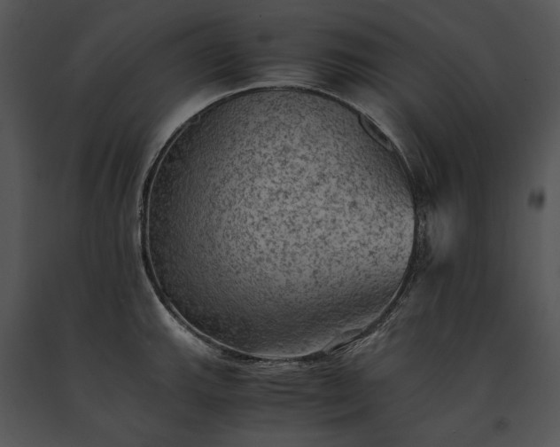 X0000091651143200708301413