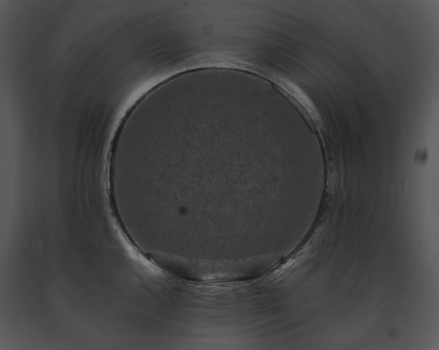 X0000091651144200708301413