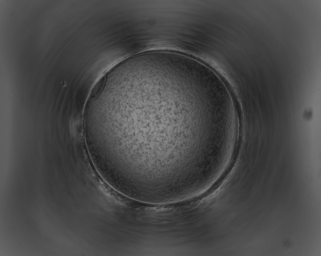 X0000091651145200708301414