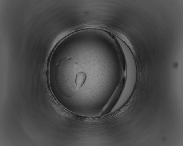 X0000091651146200708301414