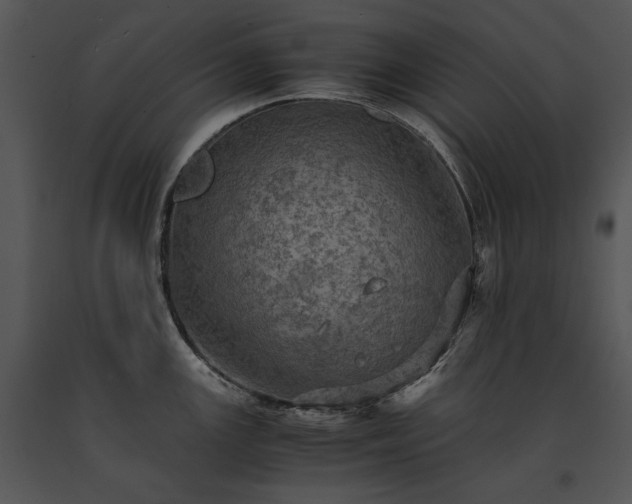 X0000091651147200708301414