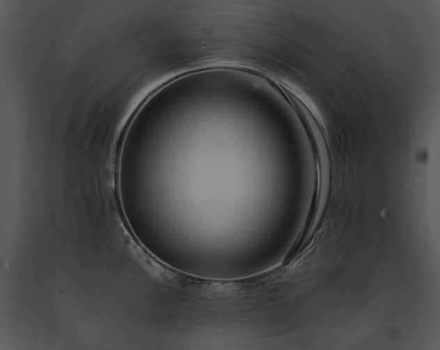 X0000091651148200708301414