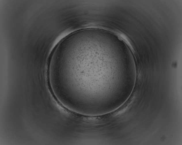 X0000091651149200708301414