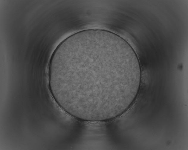 X0000091651150200708301414