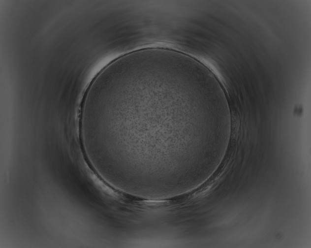 X0000091651151200708301414