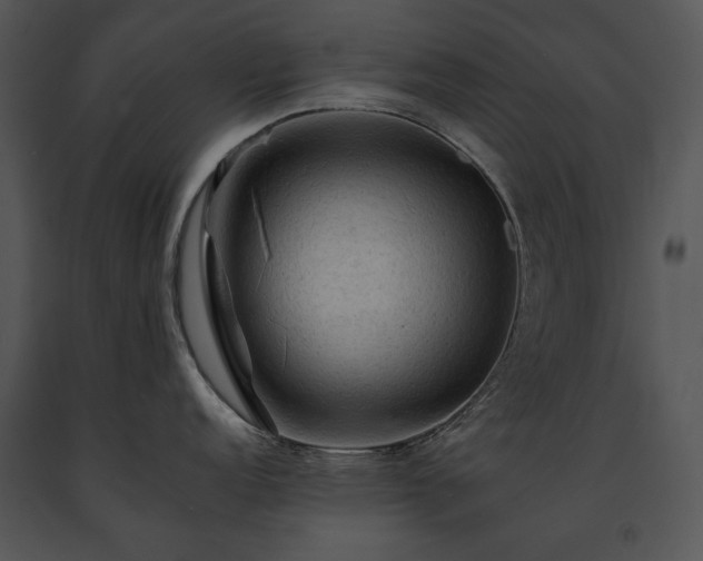 X0000091651152200708301414