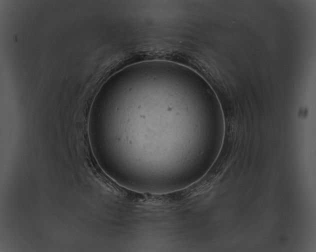 X0000091651153200708301413