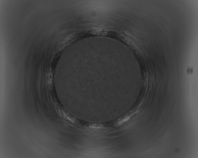 X0000091651154200708301413