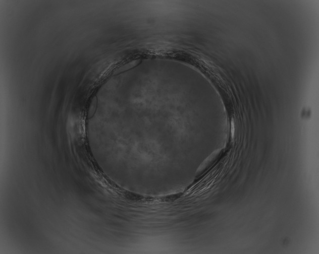 X0000091651155200708301413