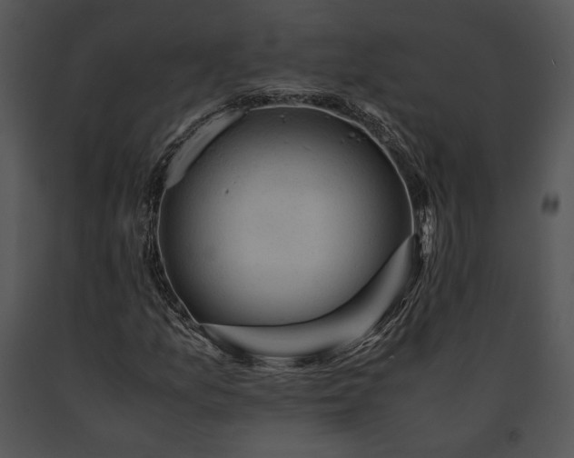 X0000091651157200708301413