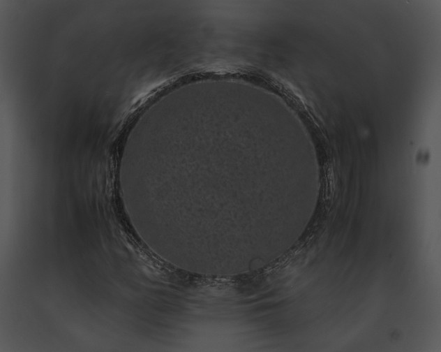 X0000091651158200708301413