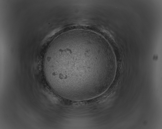 X0000091651159200708301413