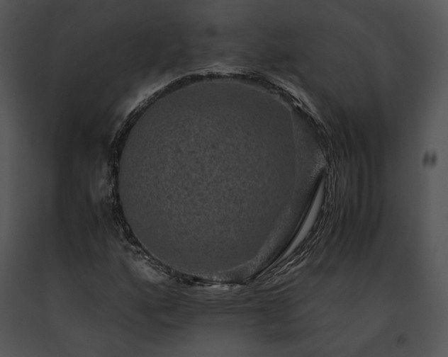 X0000091651160200708301413
