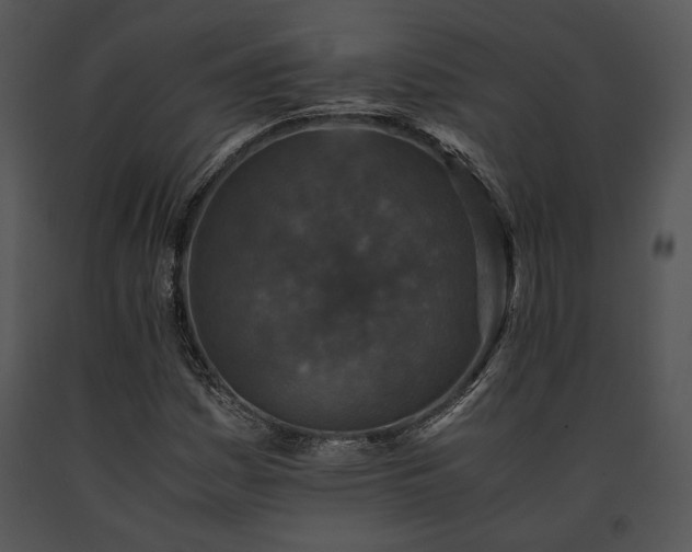 X0000091651161200708301413