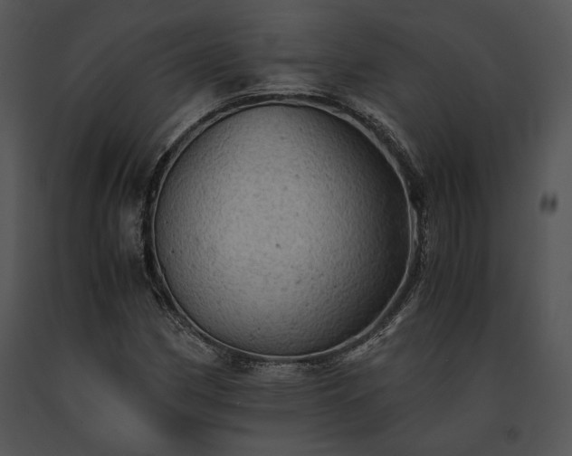 X0000091651162200708301413
