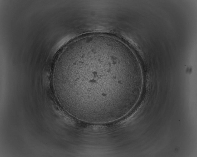 X0000091651163200708301413