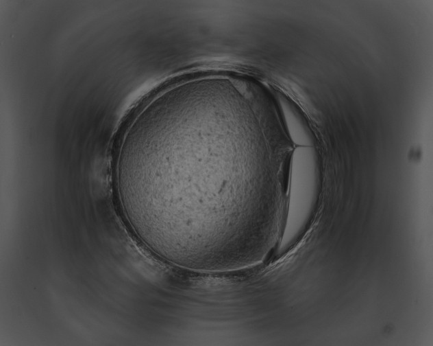 X0000091651164200708301413