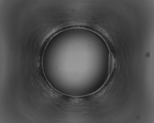 X0000091651165200708301413