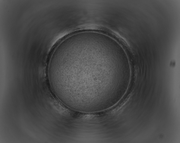 X0000091651166200708301413