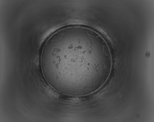 X0000091651167200708301413