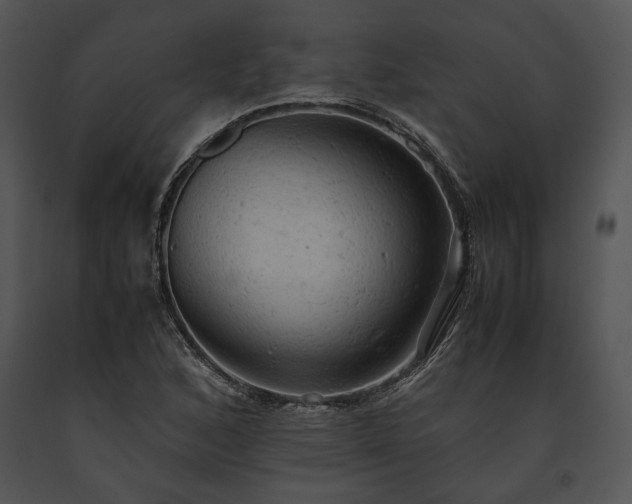 X0000091651168200708301413