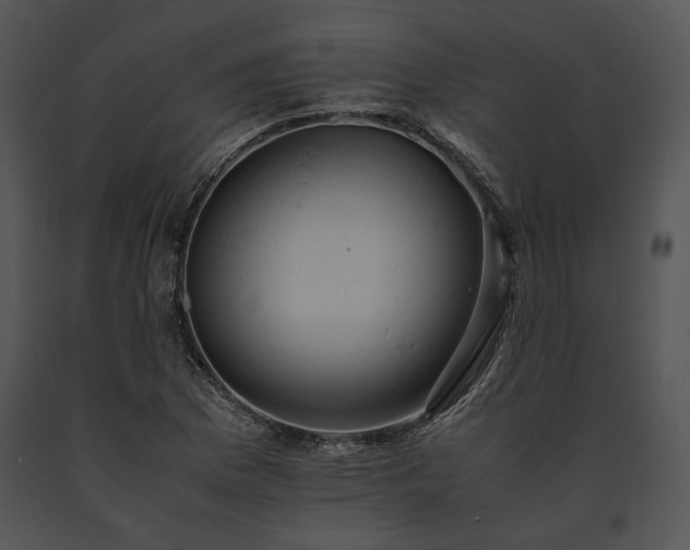 X0000091651169200708301413
