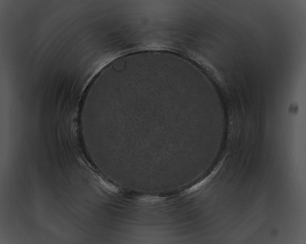 X0000091651170200708301413