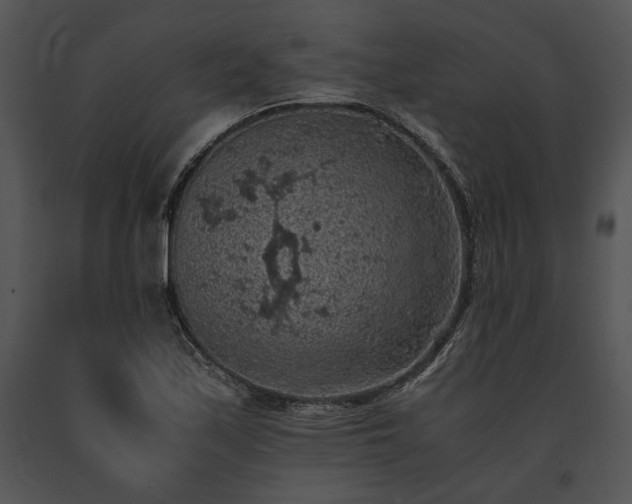 X0000091651171200708301413
