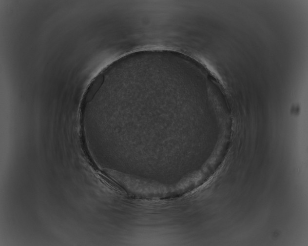 X0000091651173200708301413
